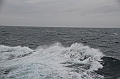 001_USA_Alaska_Bering_Sea