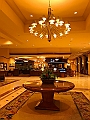 250_USA_Seattle_Hilton_Airport