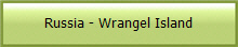 Russia - Wrangel Island