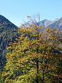 2012_Schafreuter_06_10_2012_Photo24