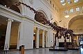 048_USA_Chicago_Field_Museum