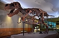 064_USA_Chicago_Field_Museum