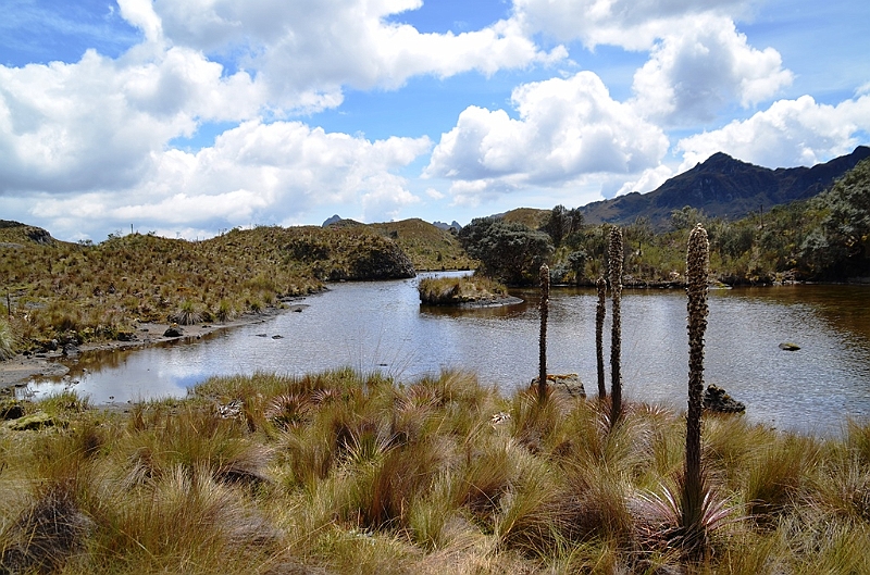 513_Ecuador_Parque_Nacional_Cajas.JPG