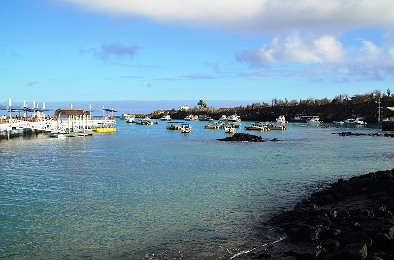 716_Ecuador_Galapagos_Santa_Cruz_Puerto_Ayora.JPG