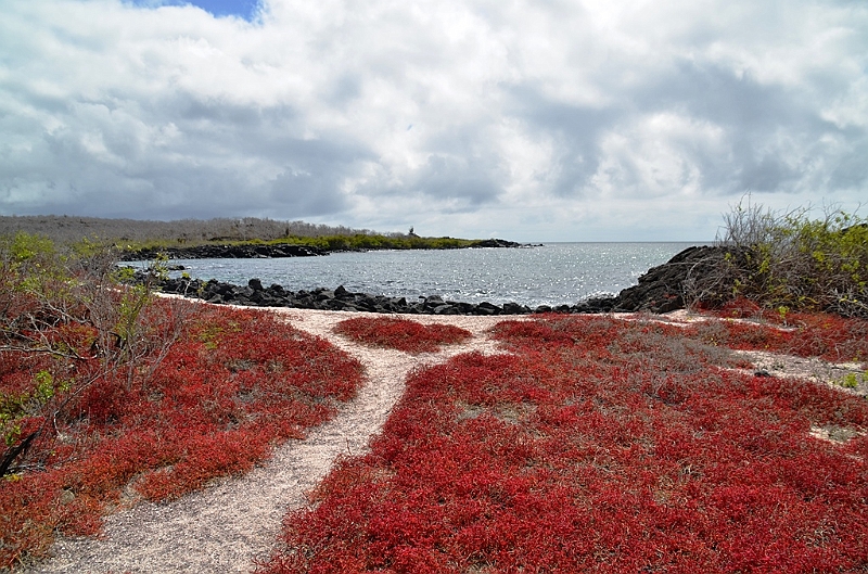 778_Ecuador_Galapagos_Island_Floreana.JPG