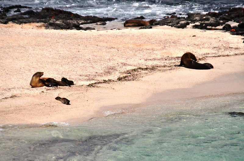 787_Ecuador_Galapagos_Island_Floreana.JPG