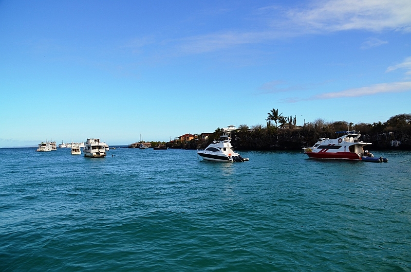 800_Ecuador_Galapagos_Santa_Cruz_Puerto_Ayora.JPG