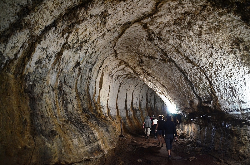 823_Ecuador_Galapagos_Santa_Cruz_Lava_Tunnels.JPG