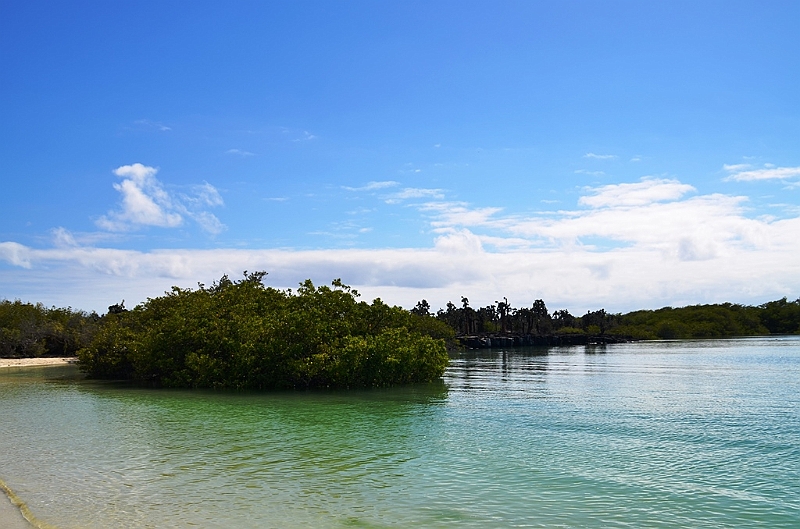 863_Ecuador_Galapagos_Santa_Cruz_Tortuga_Bay.JPG