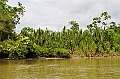 302_Ecuador_Amazonas_Aera_Napo_River_Tour