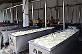 452_Ecuador_Cuenca_Panama_Hat_Factory