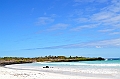 846_Ecuador_Galapagos_Santa_Cruz_Tortuga_Bay