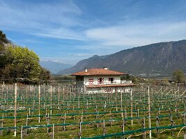 007_Italien_Suedtirol_Schernag