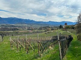 116_Italien_Suedtirol_Missian