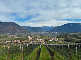 117_Italien_Suedtirol_Missian