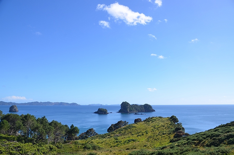 014_New_Zealand_Coromandel_Peninsula.JPG