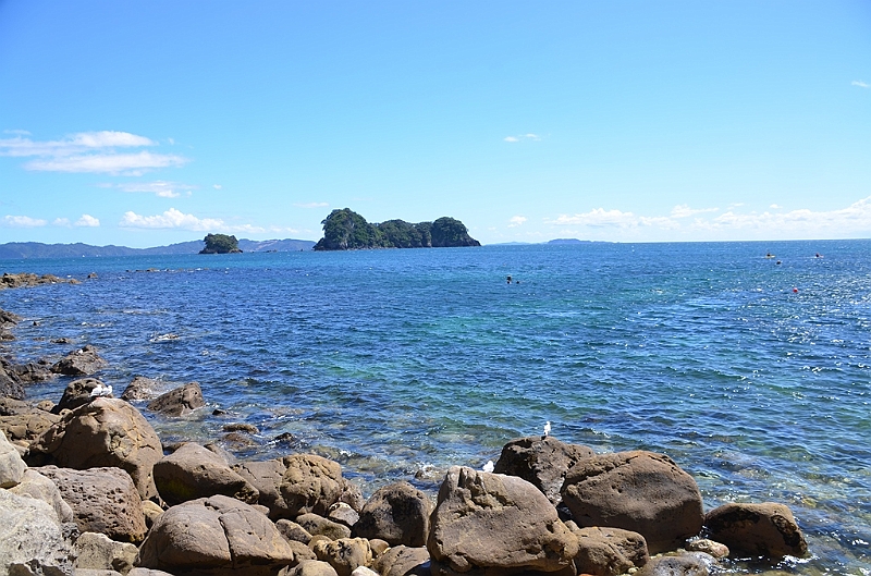 044_New_Zealand_Coromandel_Peninsula.JPG