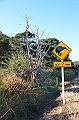 010_New_Zealand_Coromandel_Peninsula
