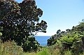 041_New_Zealand_Coromandel_Peninsula