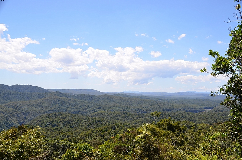 048_Australia_Queensland_Skyrail_Rainforest_Cableway.JPG