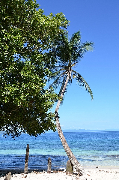 100_Solomon_Islands_Santa_Ana.JPG