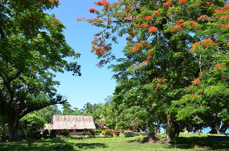 126_Solomon_Islands_Santa_Ana.JPG