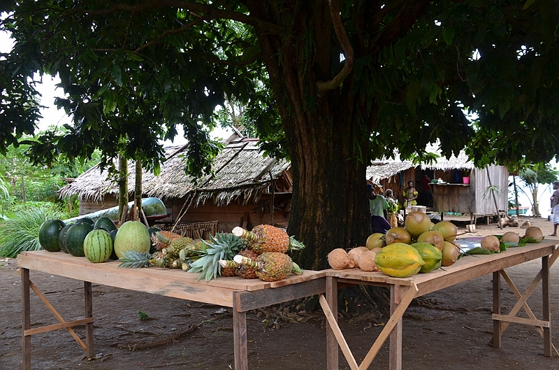 173_Solomon_Islands_Vanikoro.JPG