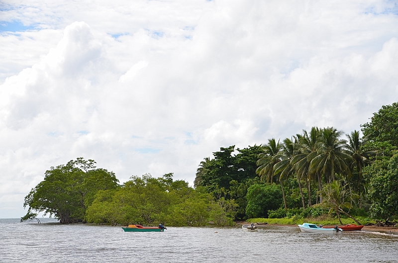 175_Solomon_Islands_Vanikoro.JPG