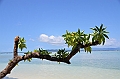 140_Solomon_Islands_Santa_Ana