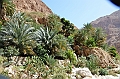 142_Oman_Wadi_Shab