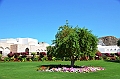 325_Oman_Muscat