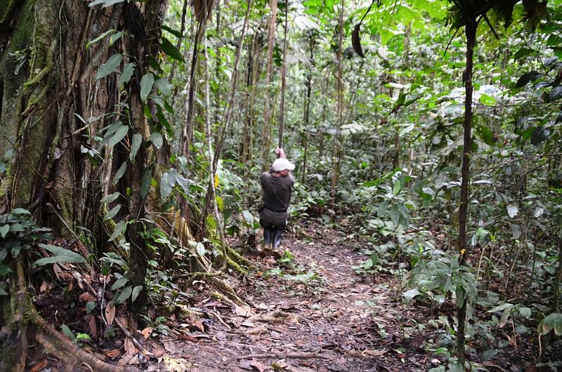 2013_24_Ecuador_Amazonas_Aera_Napo_River_Tour_Privat.JPG