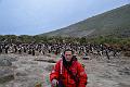 2015_33_Falkland_Islands_New_Island_Privat
