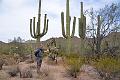 2019_11_USA_Saguaro_National_Park