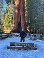 2024_10_USA_Kalifornien_Sequoia_NP