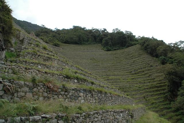 290_Peru_Inkatrail_Winaywayna.JPG