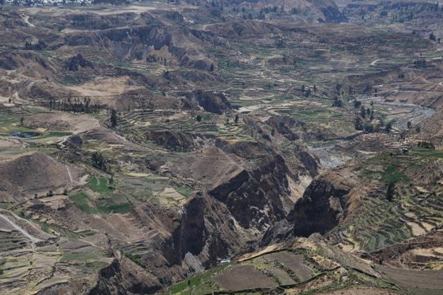 144_Peru_Colca_Tal.JPG