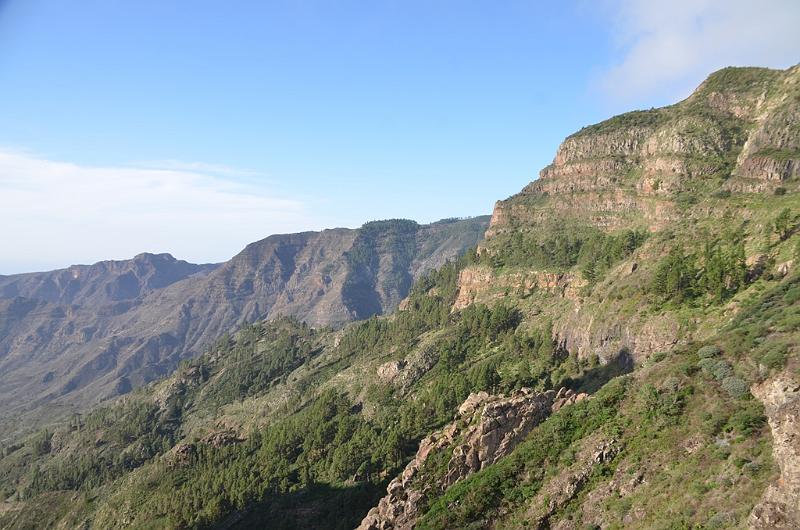 132_Kanaren_La_Gomera_Garajonay_Nationalpark.JPG